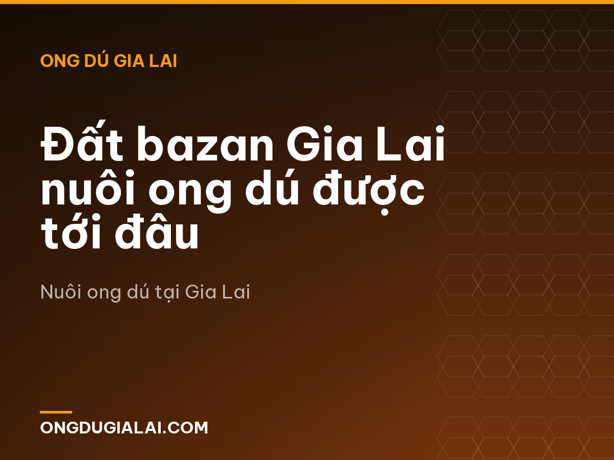 Đất bazan Gia Lai nuôi ong dú được tới đâu