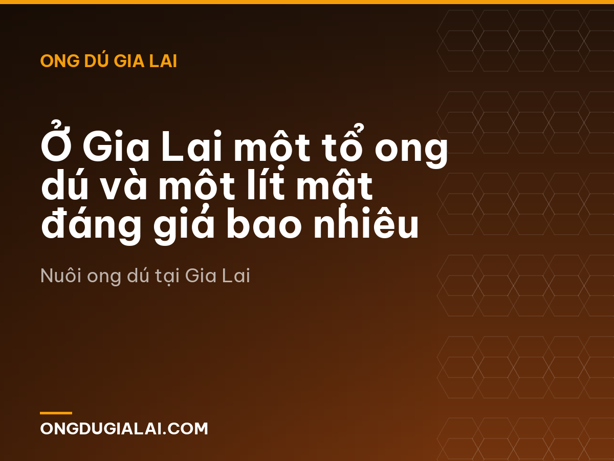 Ở Gia Lai một tổ ong dú và một lít mật đáng giá bao nhiêu