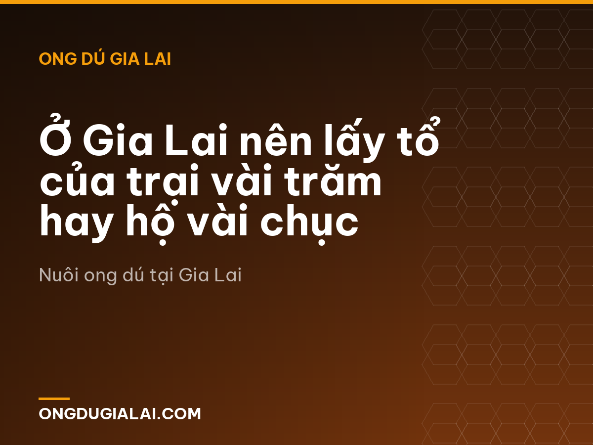 Ở Gia Lai nên lấy tổ của trại vài trăm hay hộ vài chục