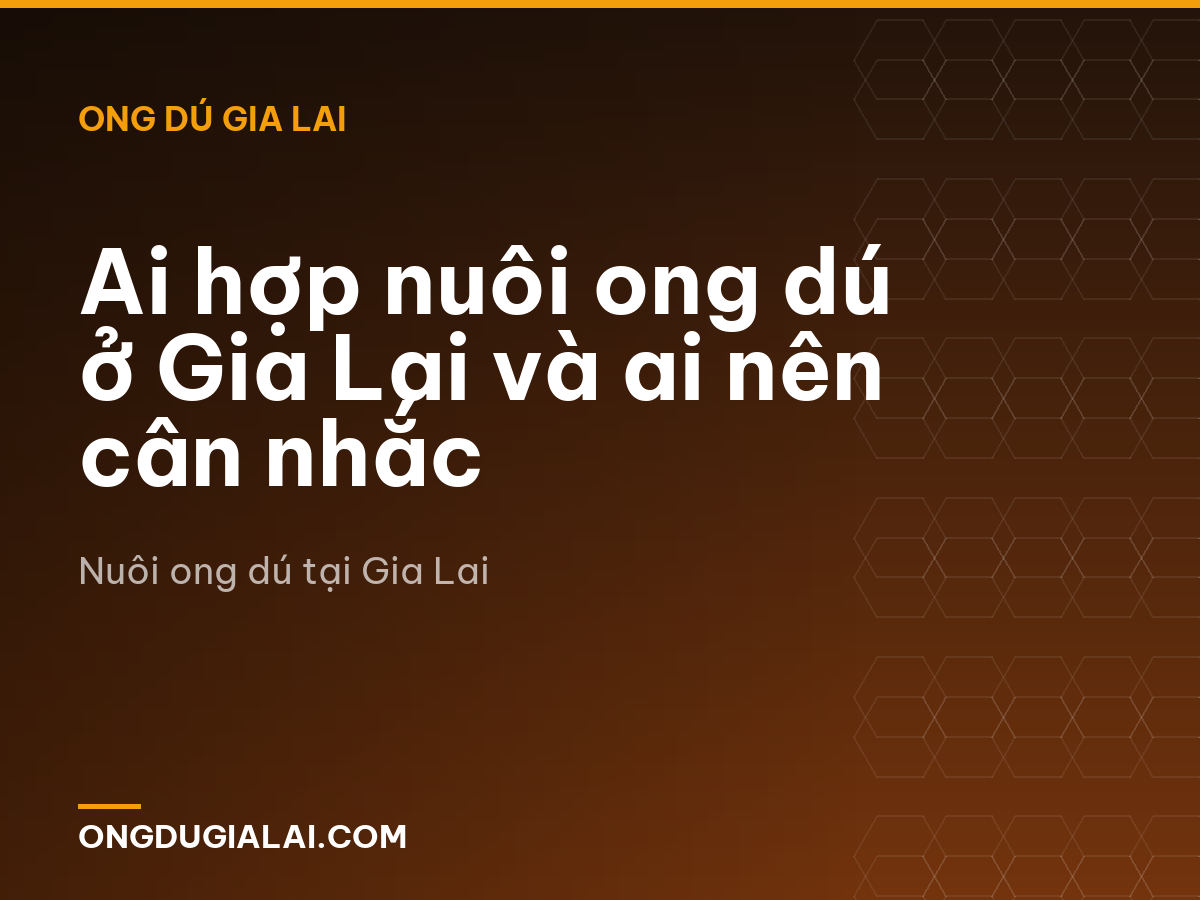 Ai hợp nuôi ong dú ở Gia Lai và ai nên cân nhắc