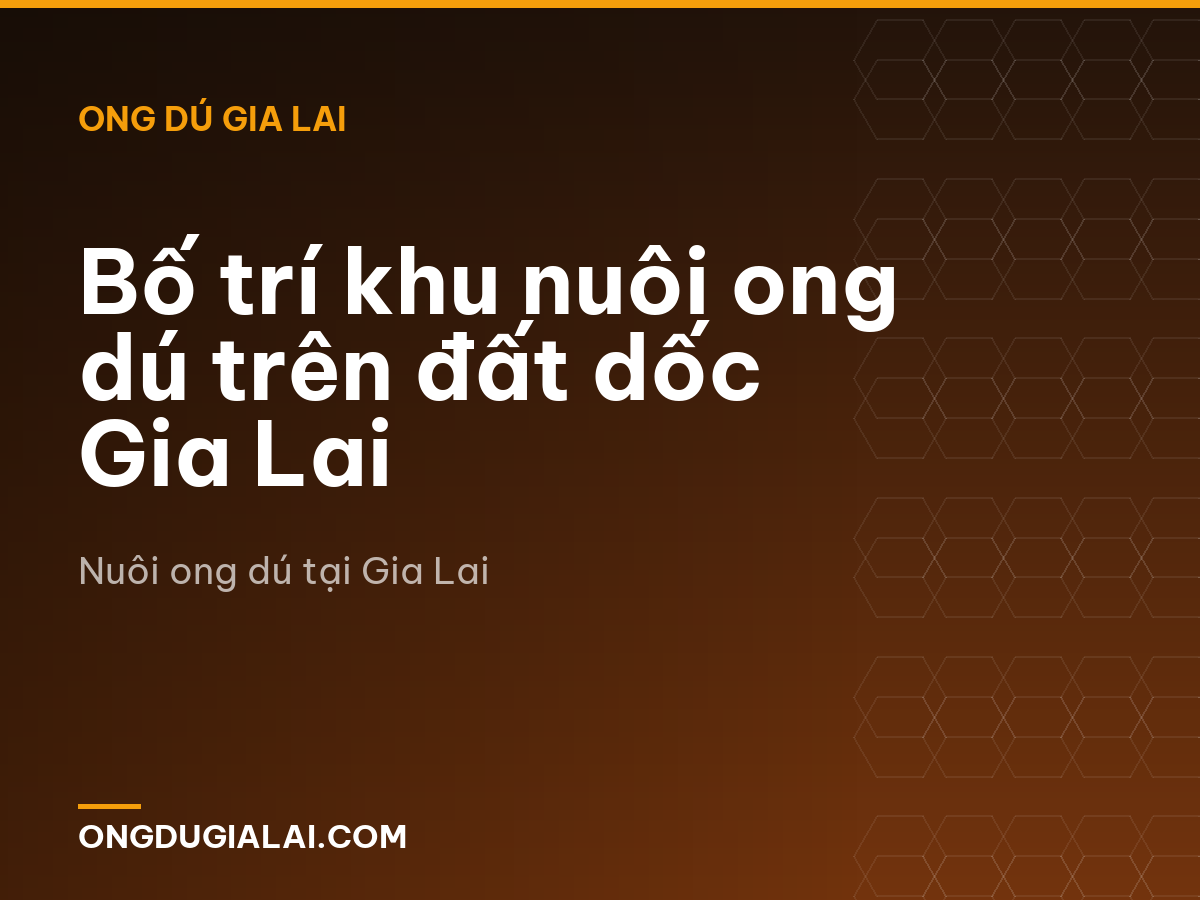 Bố trí khu nuôi ong dú trên đất dốc Gia Lai