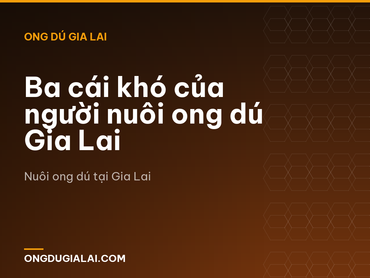 Ba cái khó của người nuôi ong dú Gia Lai