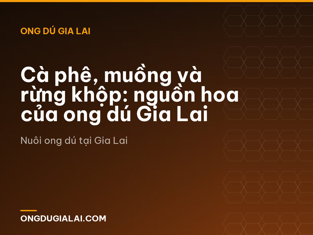 Cà phê, muồng và rừng khộp: nguồn hoa của ong dú Gia Lai