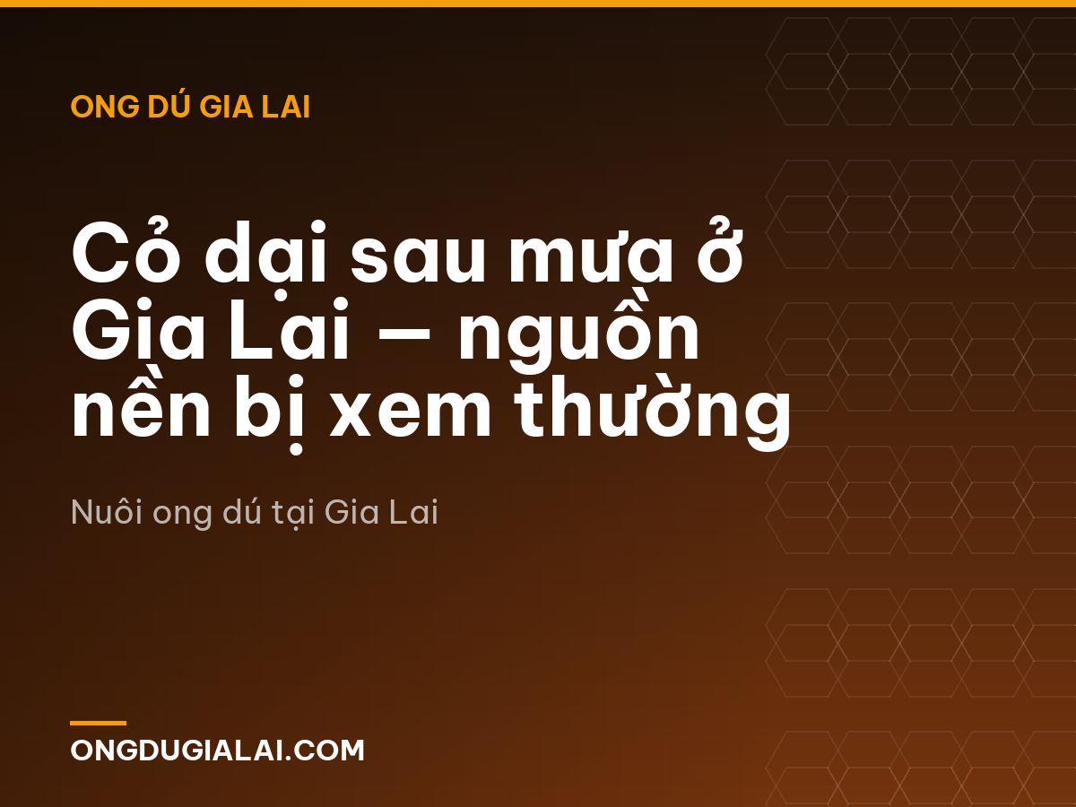 Cỏ dại sau mưa ở Gia Lai — nguồn nền bị xem thường