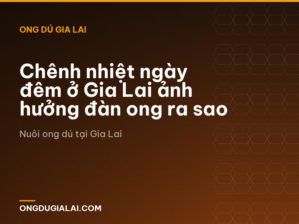 Chênh nhiệt ngày đêm ở Gia Lai ảnh hưởng đàn ong ra sao