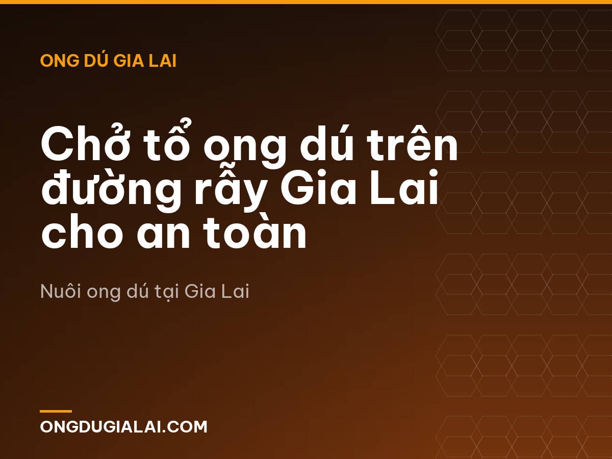 Chở tổ ong dú trên đường rẫy Gia Lai cho an toàn