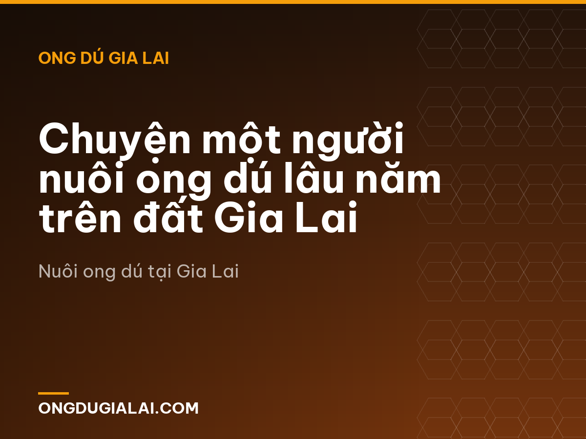 Chuyện một người nuôi ong dú lâu năm trên đất Gia Lai