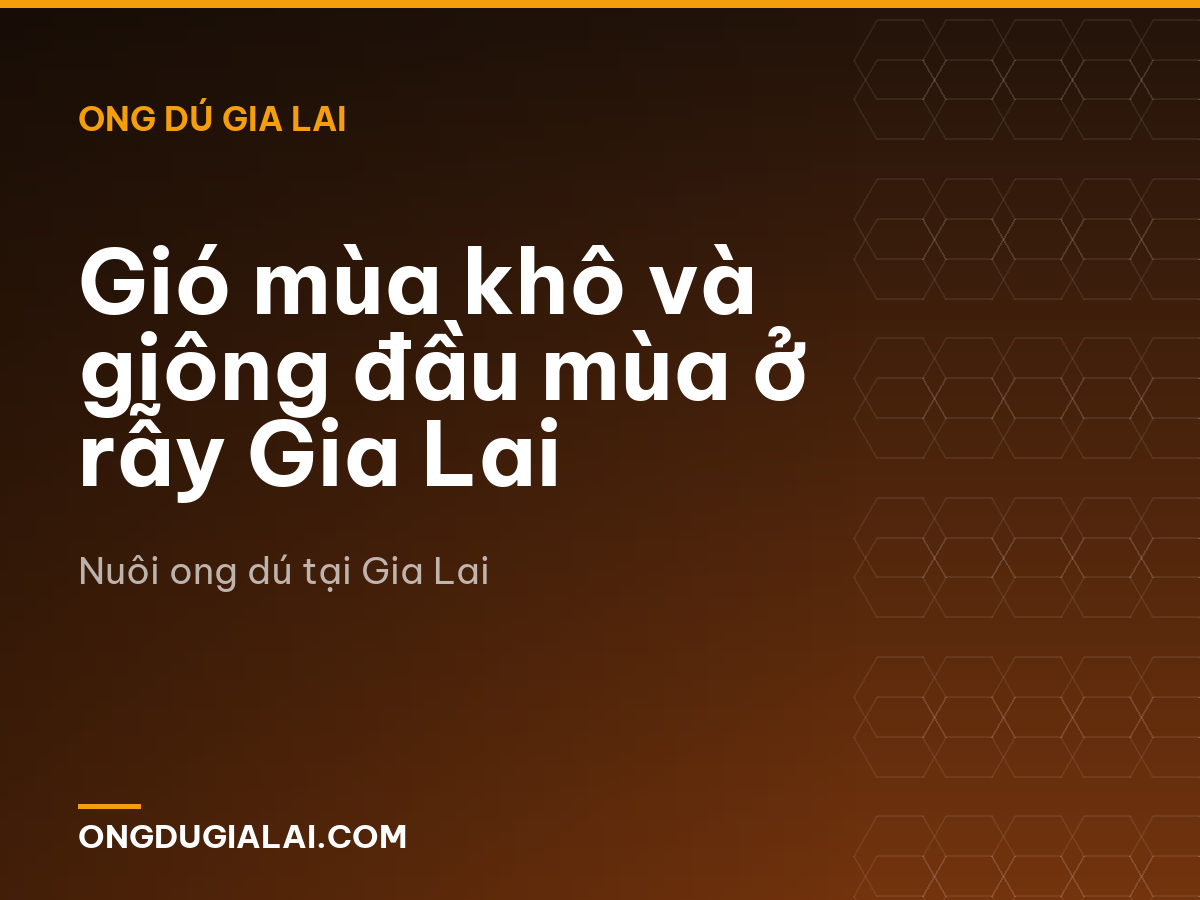 Gió mùa khô và giông đầu mùa ở rẫy Gia Lai