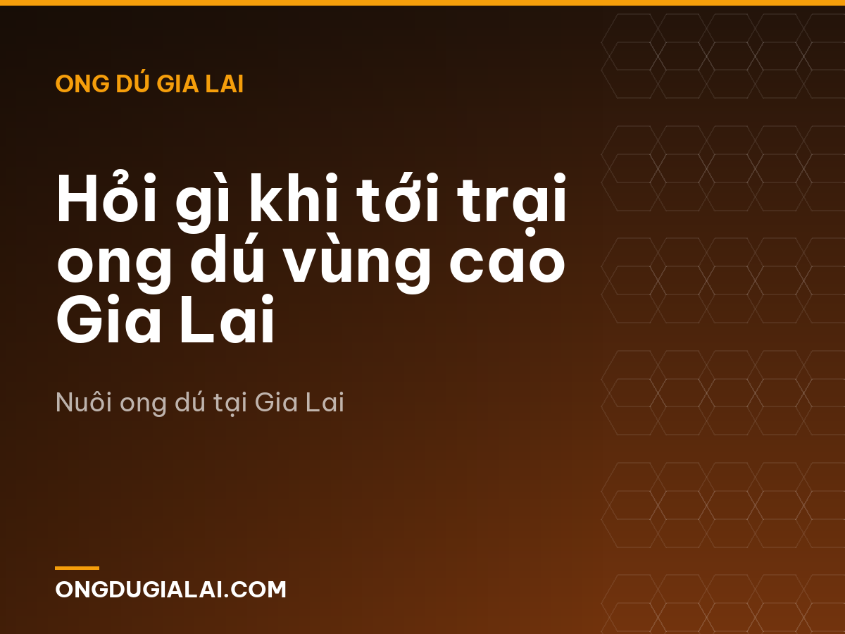 Hỏi gì khi tới trại ong dú vùng cao Gia Lai