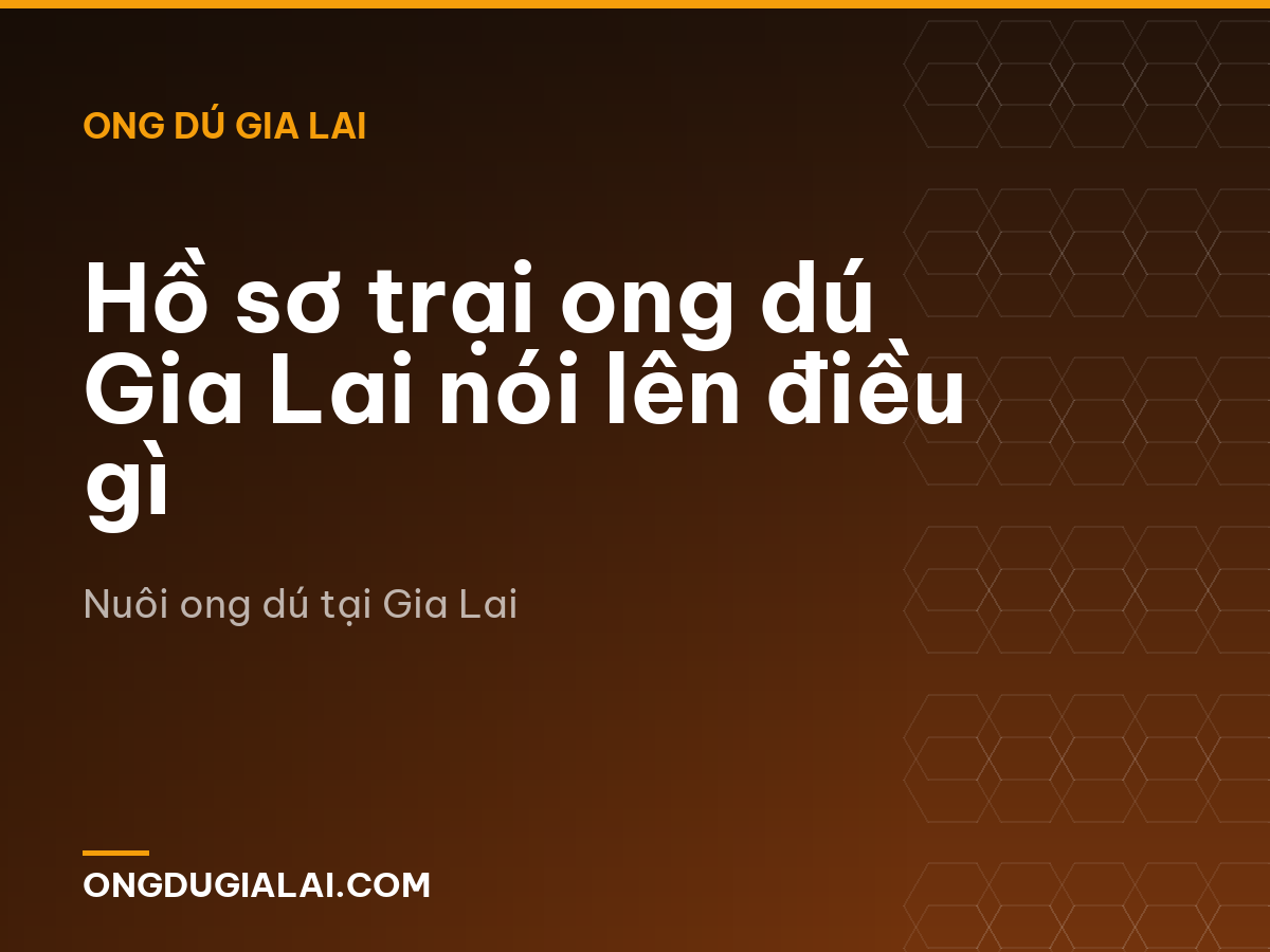 Hồ sơ trại ong dú Gia Lai nói lên điều gì