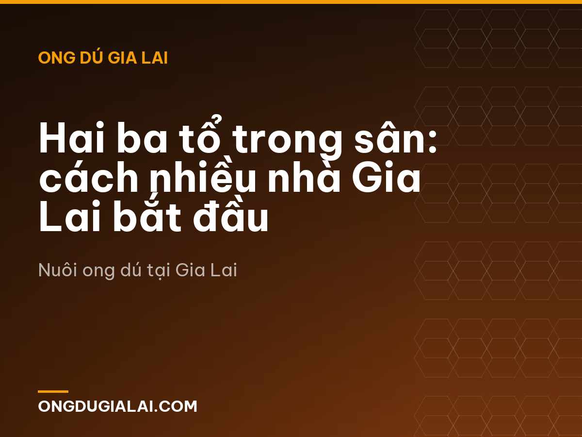 Hai ba tổ trong sân: cách nhiều nhà Gia Lai bắt đầu