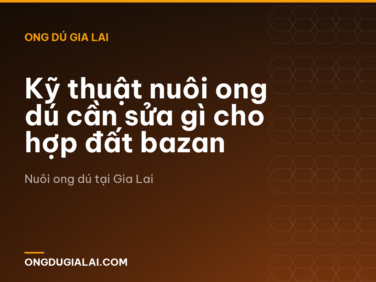 Kỹ thuật nuôi ong dú cần sửa gì cho hợp đất bazan