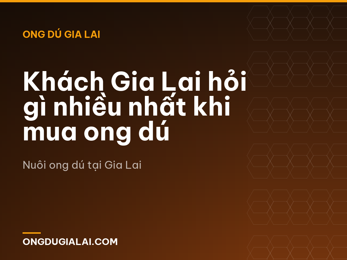Khách Gia Lai hỏi gì nhiều nhất khi mua ong dú