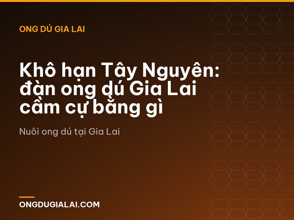 Khô hạn Tây Nguyên: đàn ong dú Gia Lai cầm cự bằng gì