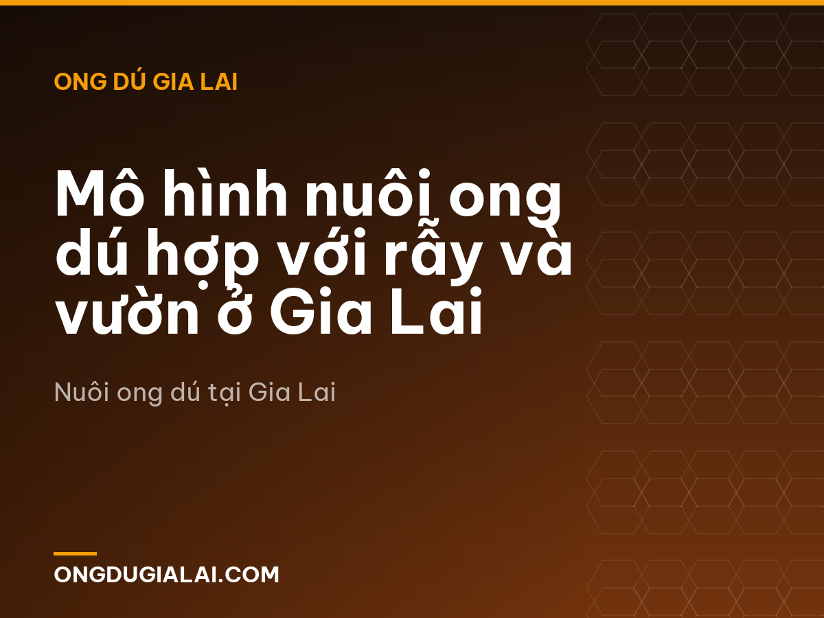 Mô hình nuôi ong dú hợp với rẫy và vườn ở Gia Lai