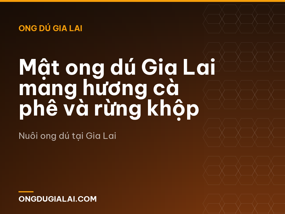 Mật ong dú Gia Lai mang hương cà phê và rừng khộp