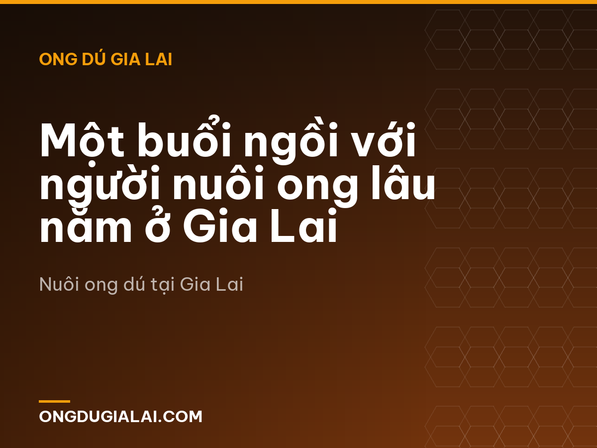 Một buổi ngồi với người nuôi ong lâu năm ở Gia Lai