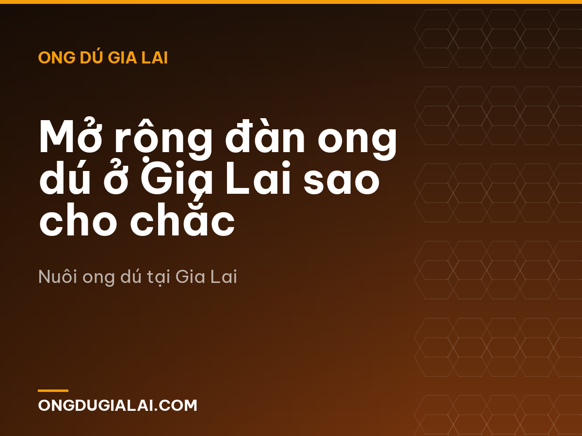 Mở rộng đàn ong dú ở Gia Lai sao cho chắc