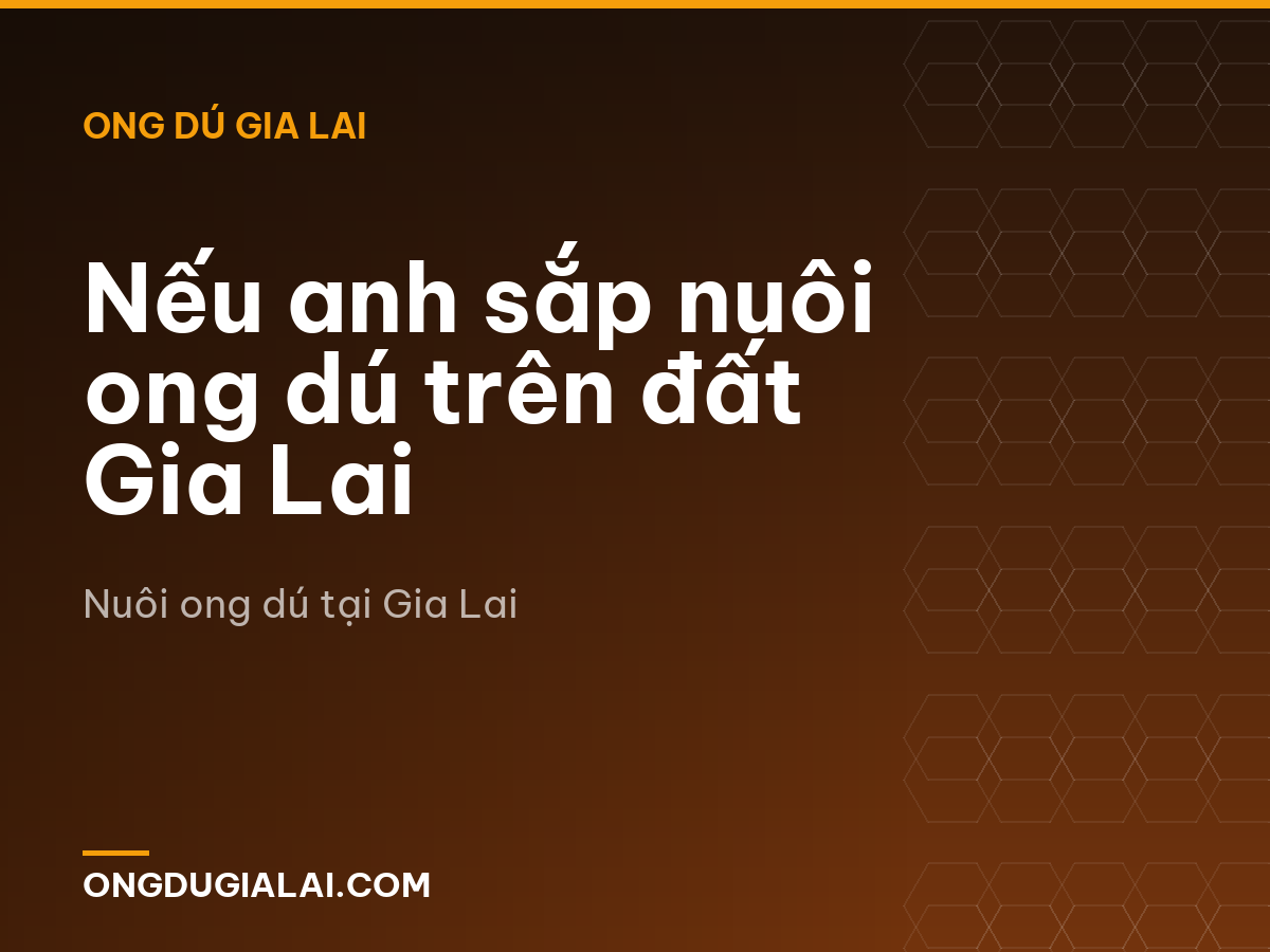 Nếu anh sắp nuôi ong dú trên đất Gia Lai