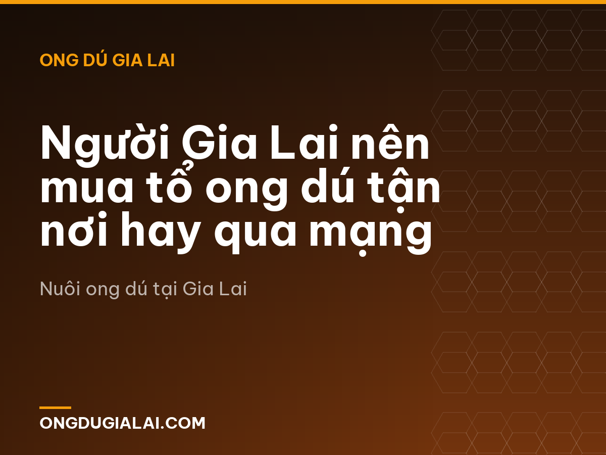 Người Gia Lai nên mua tổ ong dú tận nơi hay qua mạng