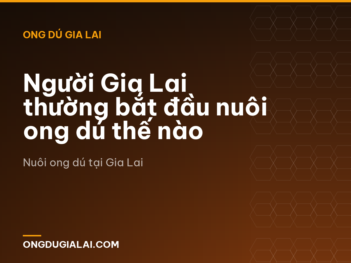 Người Gia Lai thường bắt đầu nuôi ong dú thế nào