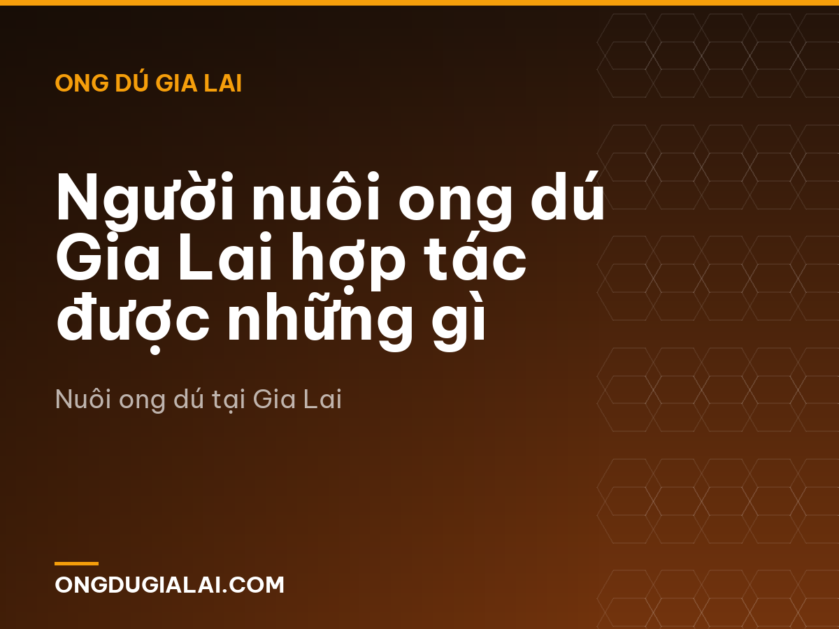 Người nuôi ong dú Gia Lai hợp tác được những gì