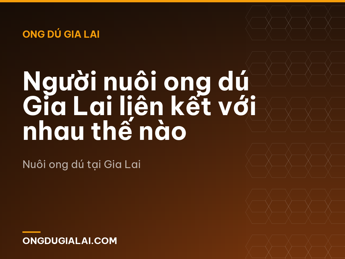 Người nuôi ong dú Gia Lai liên kết với nhau thế nào