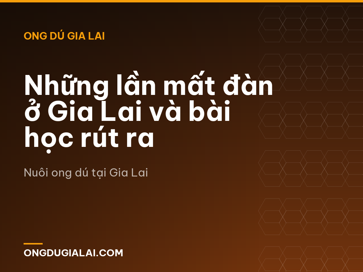 Những lần mất đàn ở Gia Lai và bài học rút ra