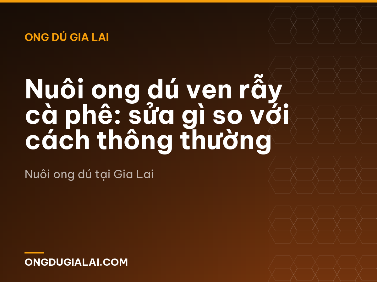 Nuôi ong dú ven rẫy cà phê: sửa gì so với cách thông thường