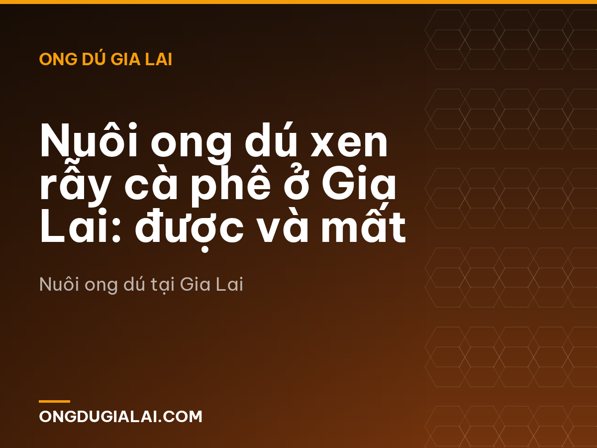 Nuôi ong dú xen rẫy cà phê ở Gia Lai: được và mất