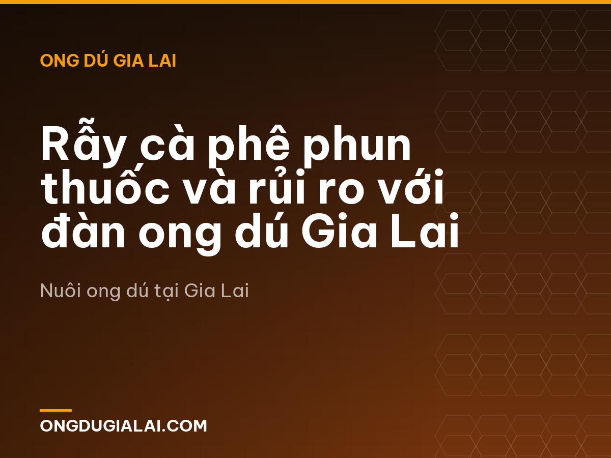 Rẫy cà phê phun thuốc và rủi ro với đàn ong dú Gia Lai