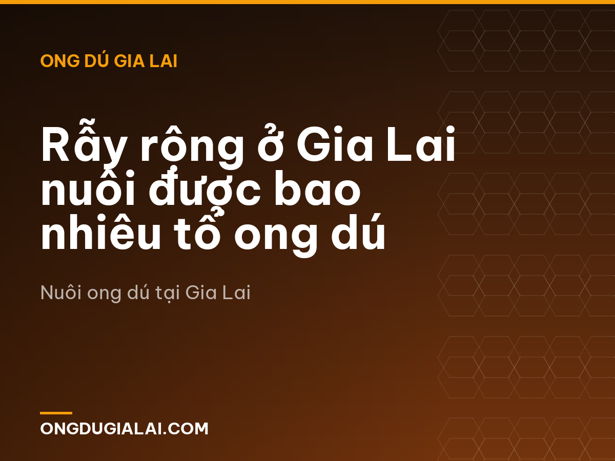 Rẫy rộng ở Gia Lai nuôi được bao nhiêu tổ ong dú