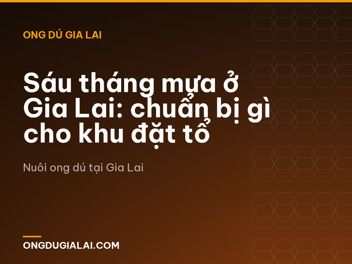 Sáu tháng mưa ở Gia Lai: chuẩn bị gì cho khu đặt tổ