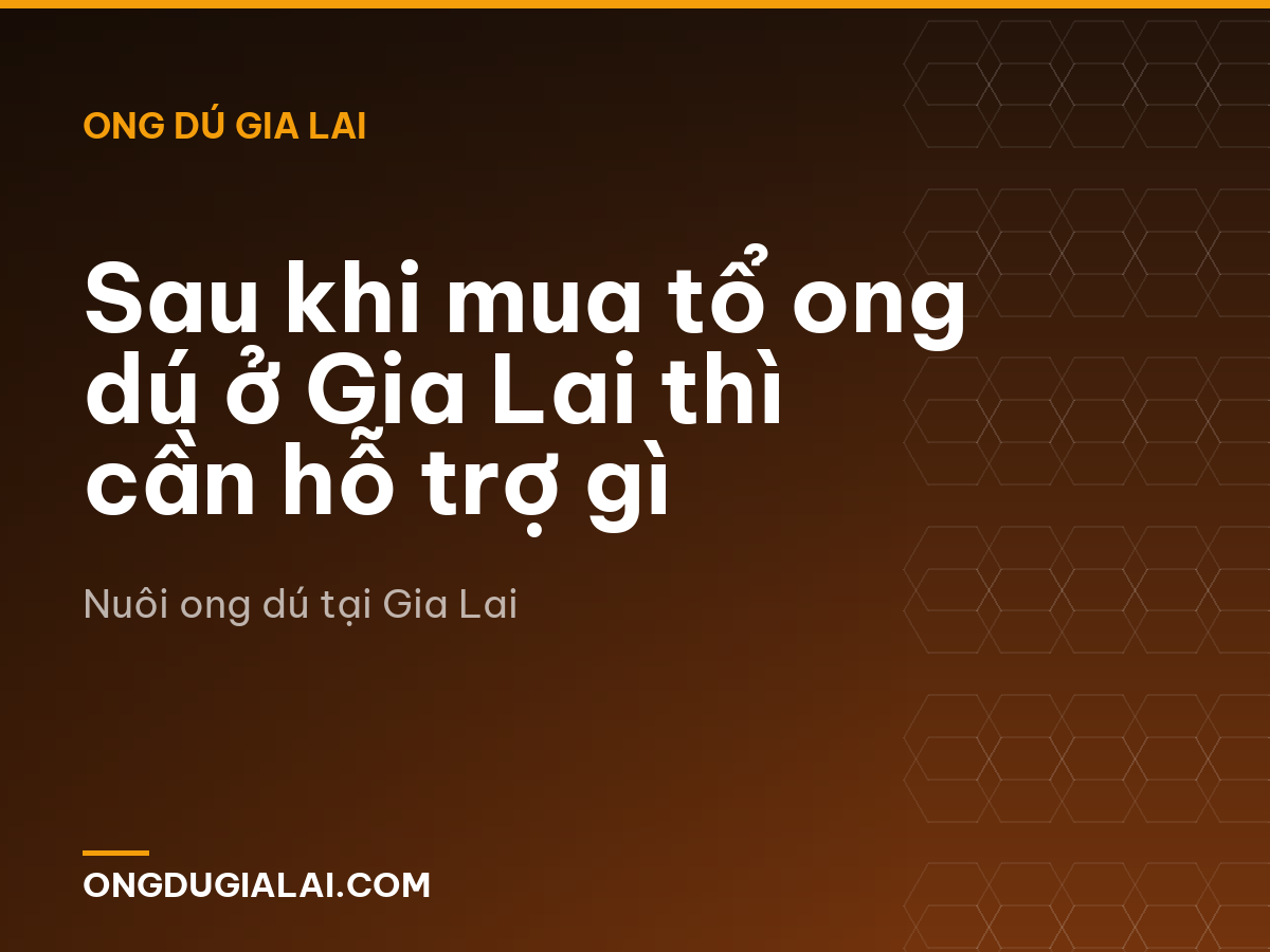Sau khi mua tổ ong dú ở Gia Lai thì cần hỗ trợ gì