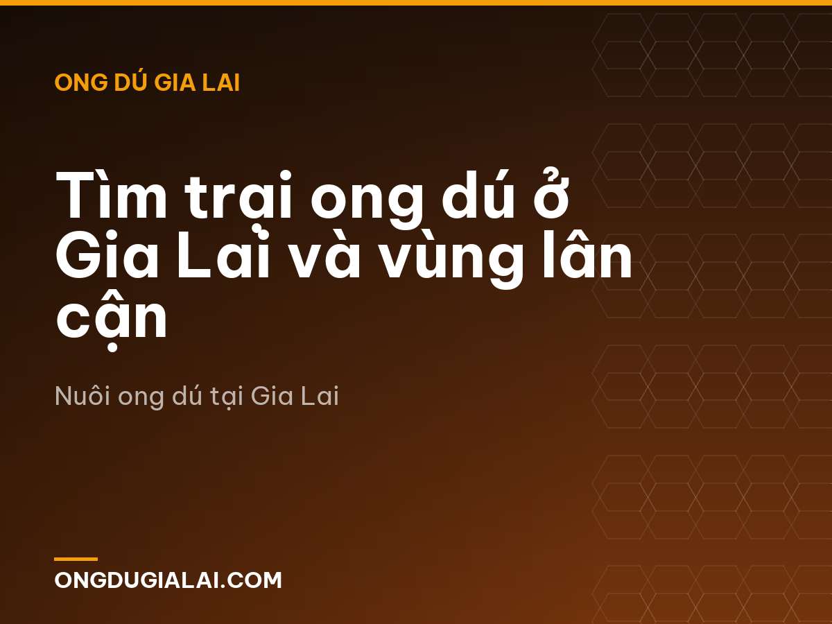 Tìm trại ong dú ở Gia Lai và vùng lân cận