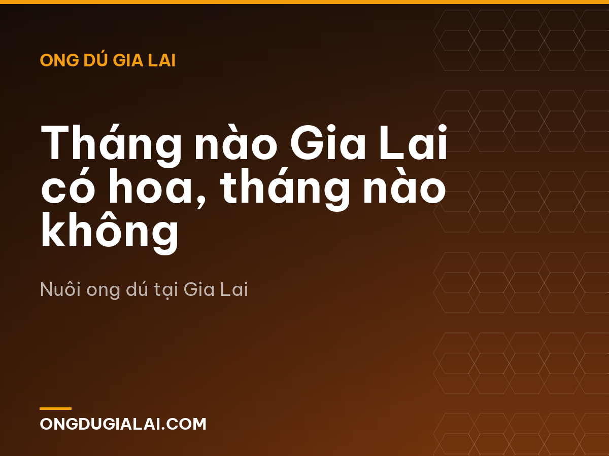 Tháng nào Gia Lai có hoa, tháng nào không