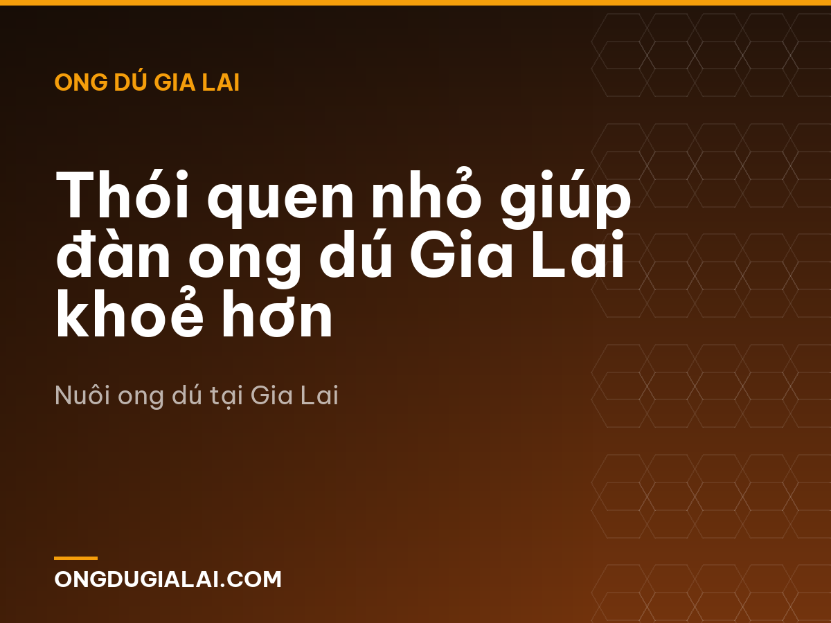Thói quen nhỏ giúp đàn ong dú Gia Lai khoẻ hơn
