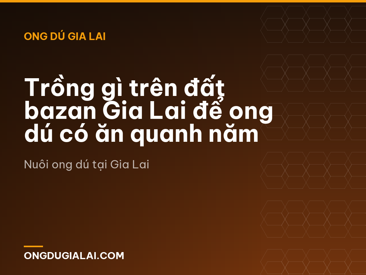 Trồng gì trên đất bazan Gia Lai để ong dú có ăn quanh năm