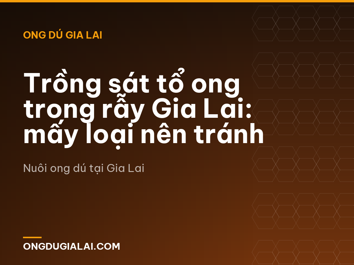 Trồng sát tổ ong trong rẫy Gia Lai: mấy loại nên tránh
