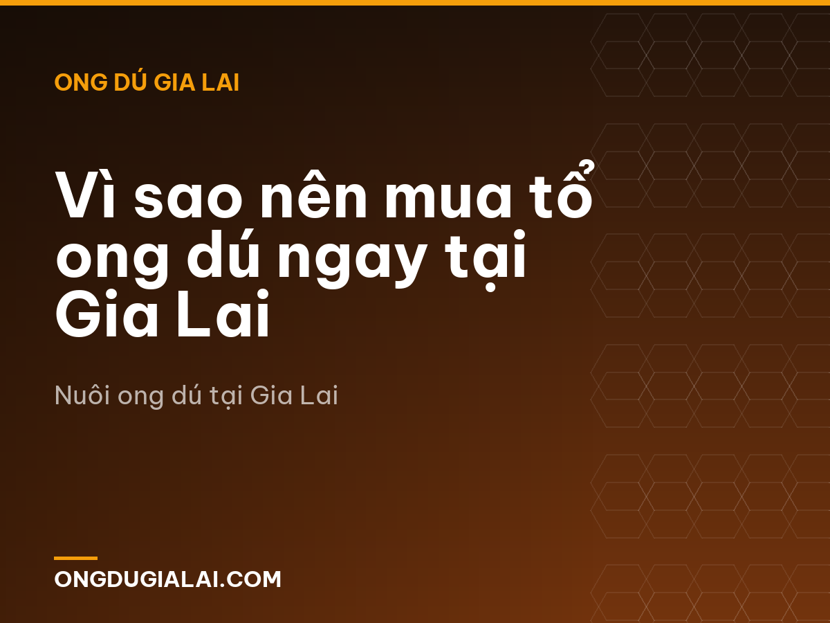 Vì sao nên mua tổ ong dú ngay tại Gia Lai