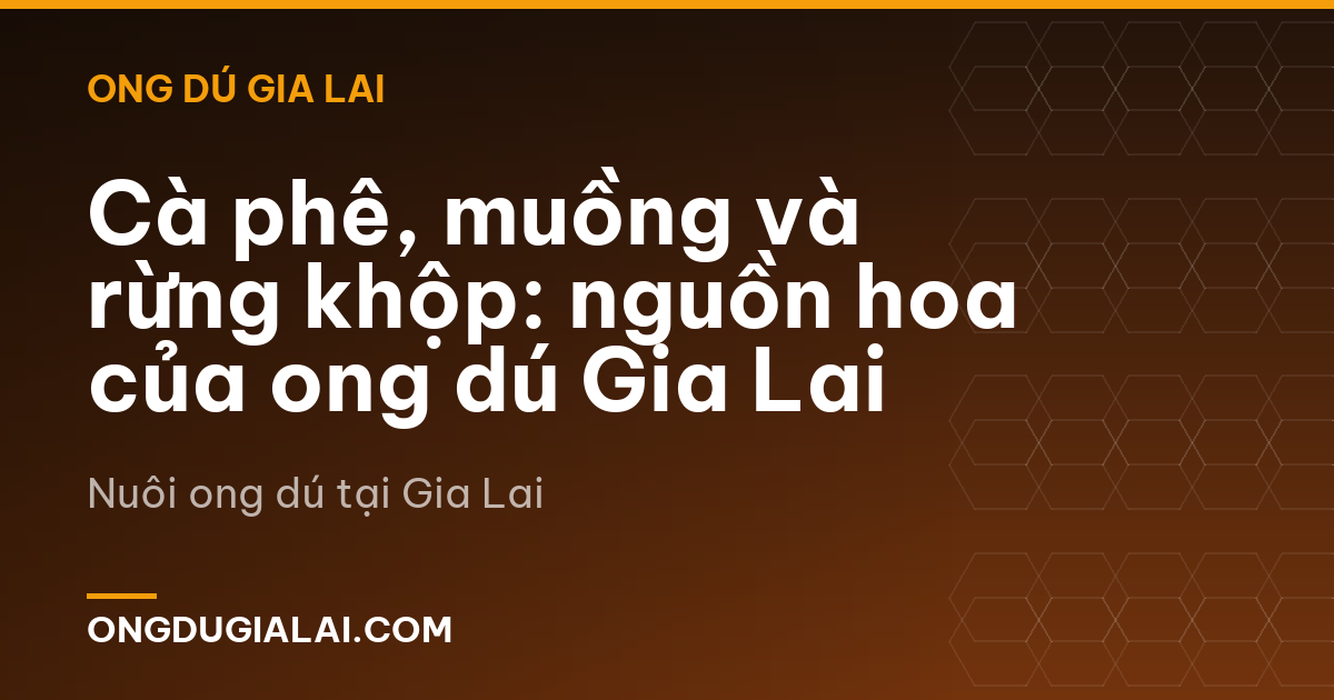 Cà phê, muồng và rừng khộp: nguồn hoa của ong dú Gia Lai