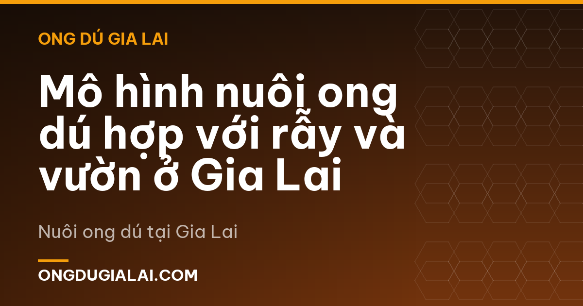 Mô hình nuôi ong dú hợp với rẫy và vườn ở Gia Lai