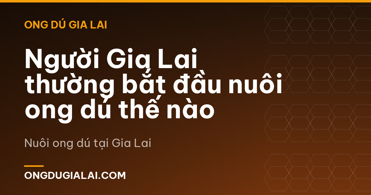 Người Gia Lai thường bắt đầu nuôi ong dú thế nào