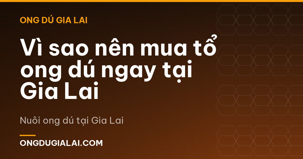 Vì sao nên mua tổ ong dú ngay tại Gia Lai